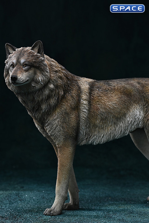 1/6 Scale Arctic Wolf Version D