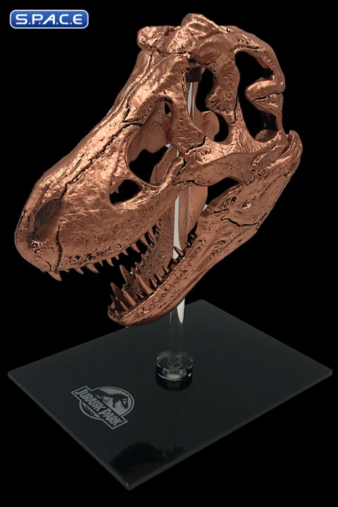 T-Rex Skull Scaled Replica (Jurassic Park)