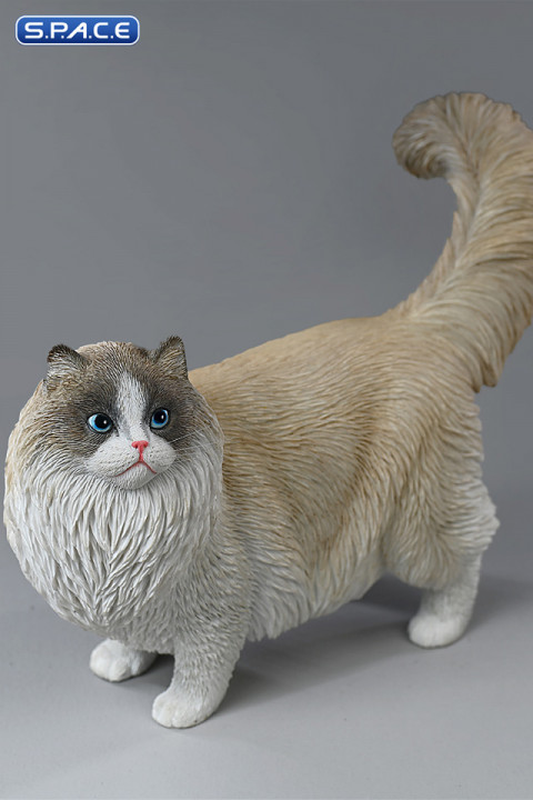 1/6 Scale Ragdoll (light brown)