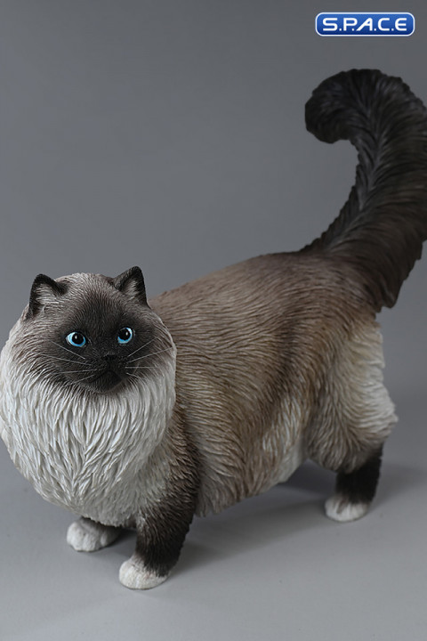 1/6 Scale Ragdoll (black)