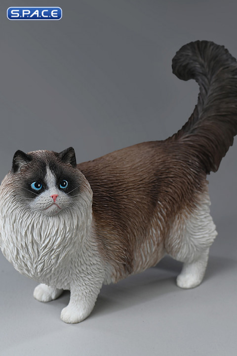 1/6 Scale Ragdoll (brown)