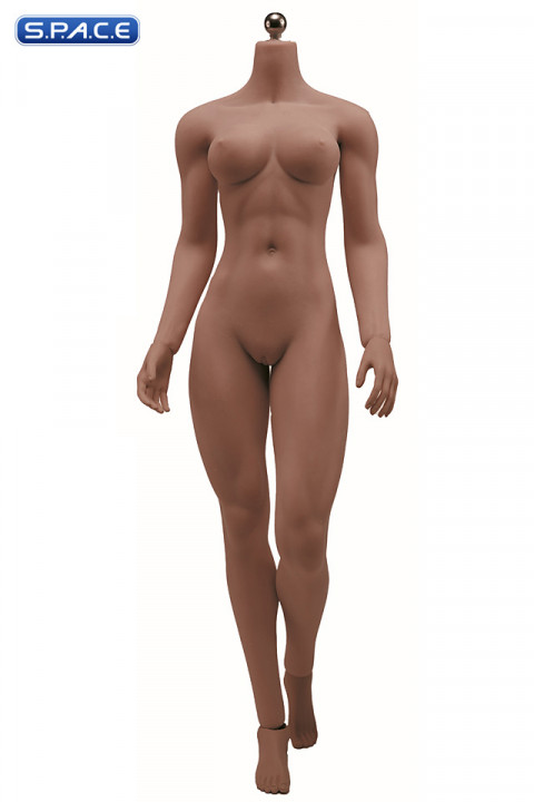 1/6 Scale Seamless female Body S22B / headless (brown)