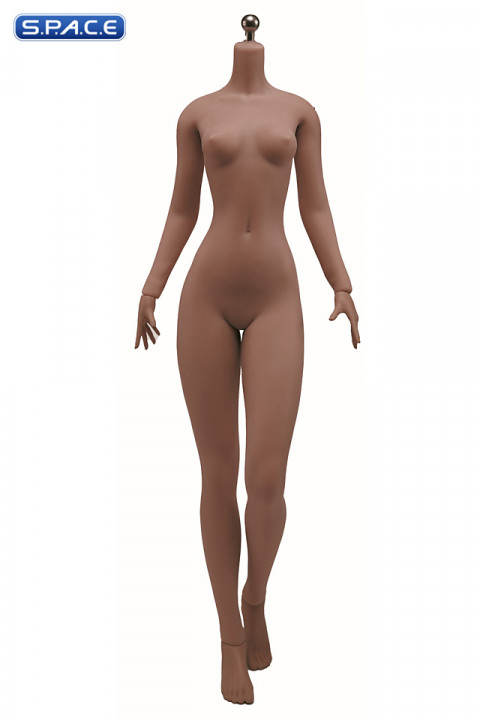 1/6 Scale Seamless female Body S44B / headless (brown)