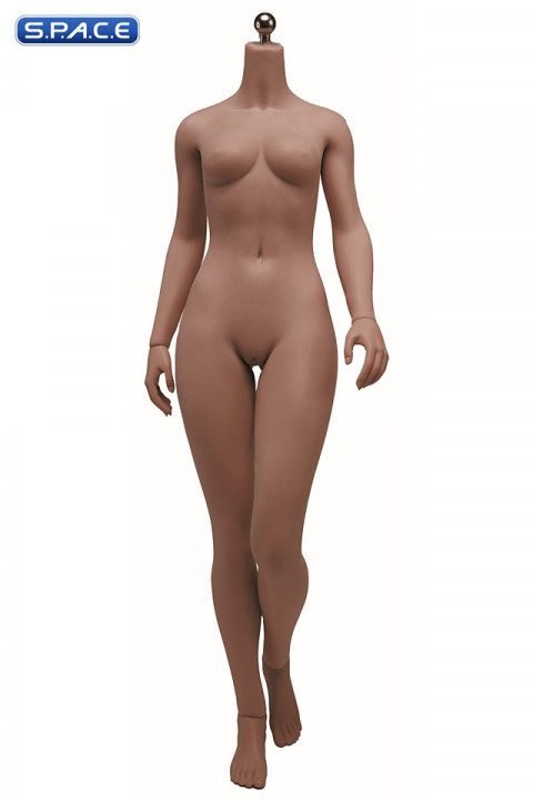 1/6 Scale Seamless female Body S46D / headless (brown)