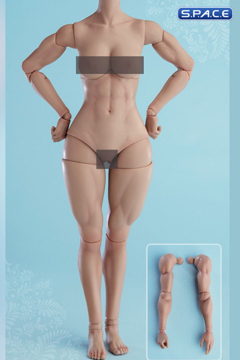 1/6 Scale muscular female Body AT206A (light tan)