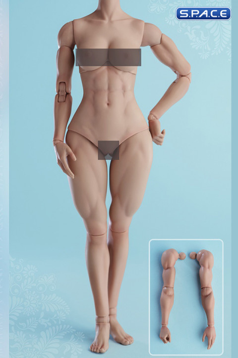 1/6 Scale muscular female Body AT206B (light tan)