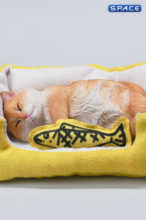 1/6 Scale sleeping Cat with pillow (red)