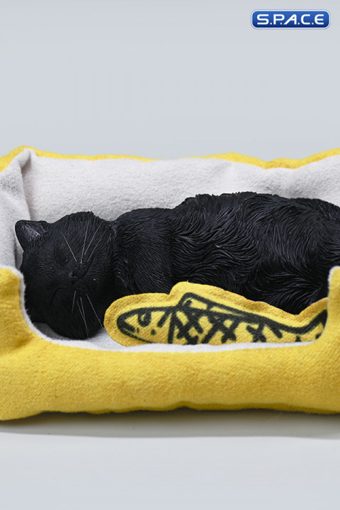 1/6 Scale sleeping Cat with pillow (black)