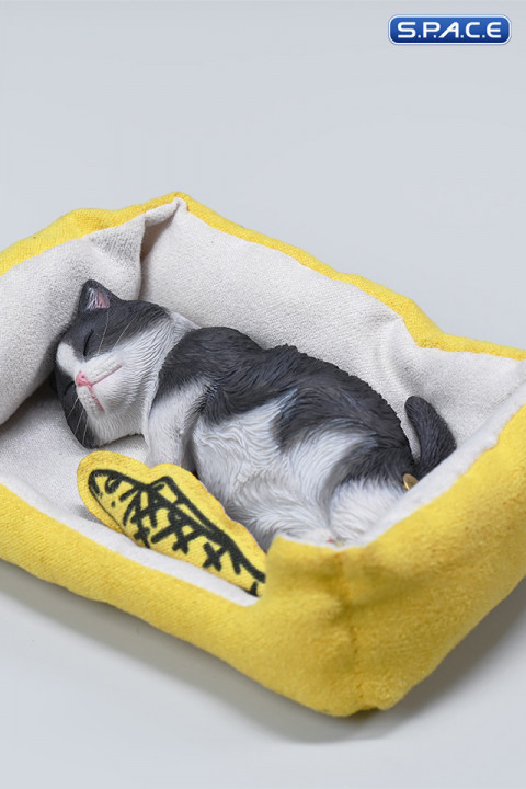 1/6 Scale sleeping Cat with pillow (black/white)