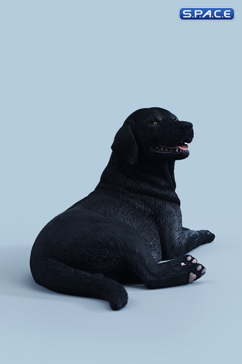 1/6 Scale lying Labrador (black)