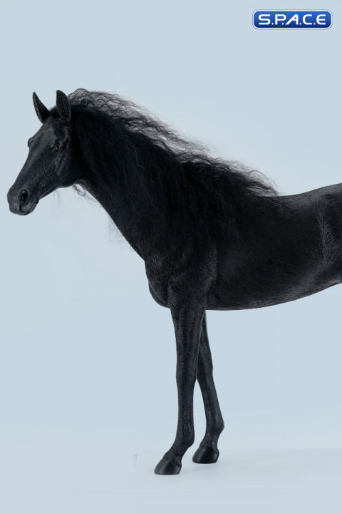 1/6 Scale Akhal Teke Horse (black)