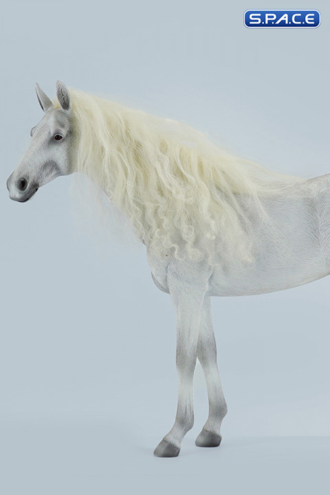 1/6 Scale Akhal Teke Horse (white)