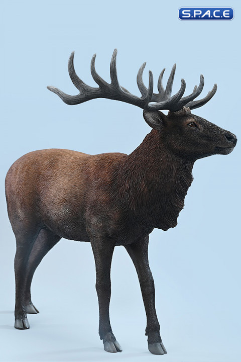 1/6 Scale Deer Version A