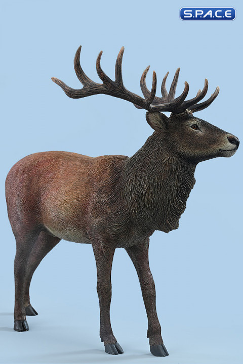 1/6 Scale Deer Version B