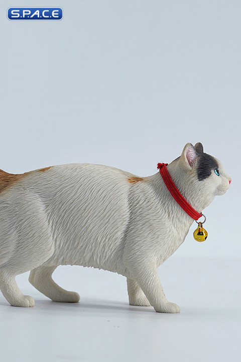 1/6 Scale Somali Cat (white)