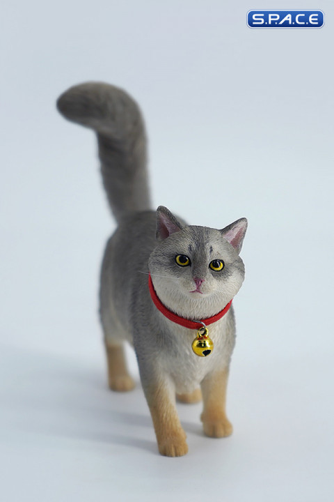 1/6 Scale Somali Cat (grey)