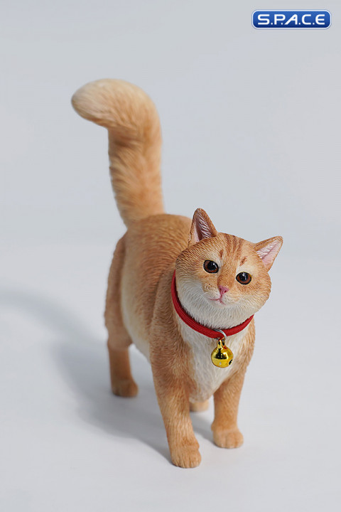 1/6 Scale Somali Cat (brown)