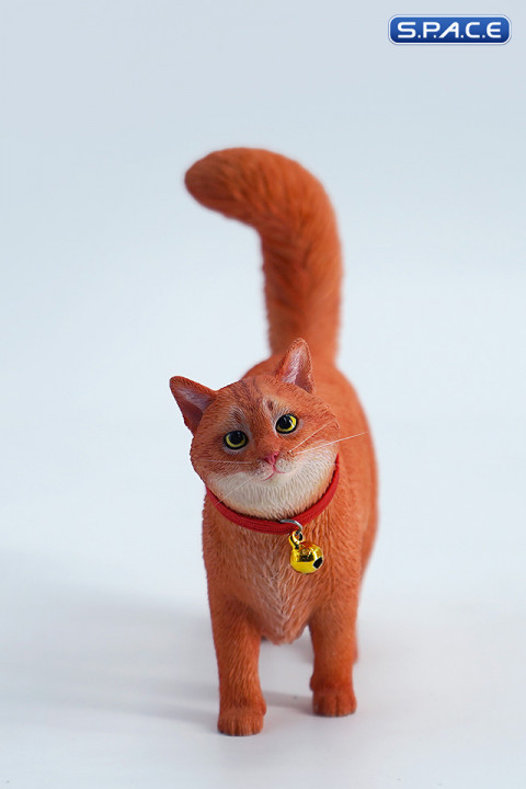 1/6 Scale Somali Cat (red)