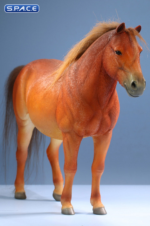 1/6 Scale Mongolica Horse Version 3