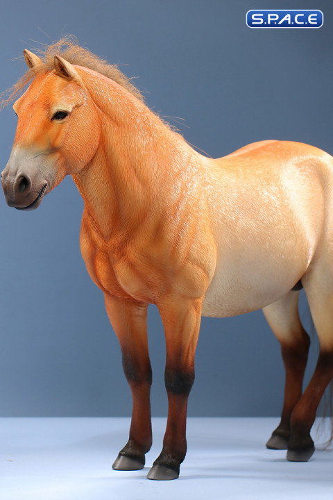 1/6 Scale Mongolica Horse Version 5