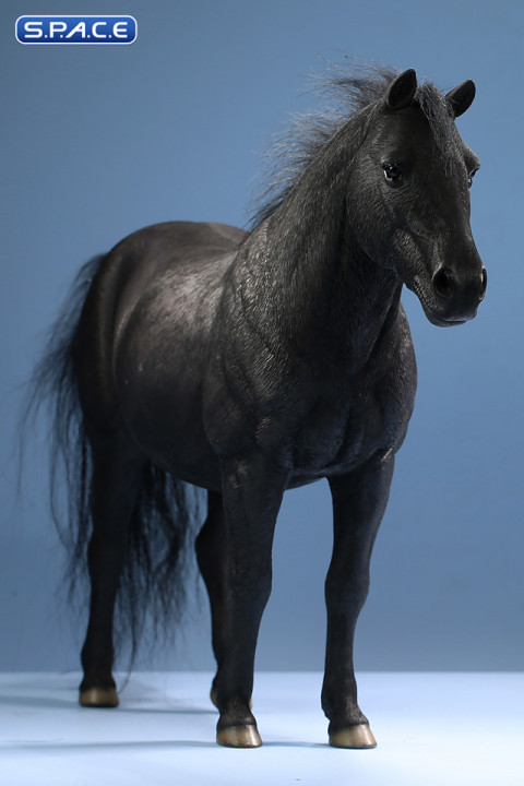 1/6 Scale Mongolica Horse Version 6