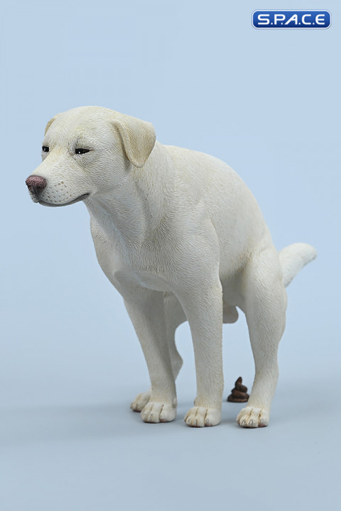 1/6 Scale pooping Labrador Version A