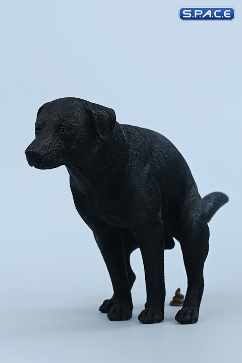 1/6 Scale pooping Labrador Version B