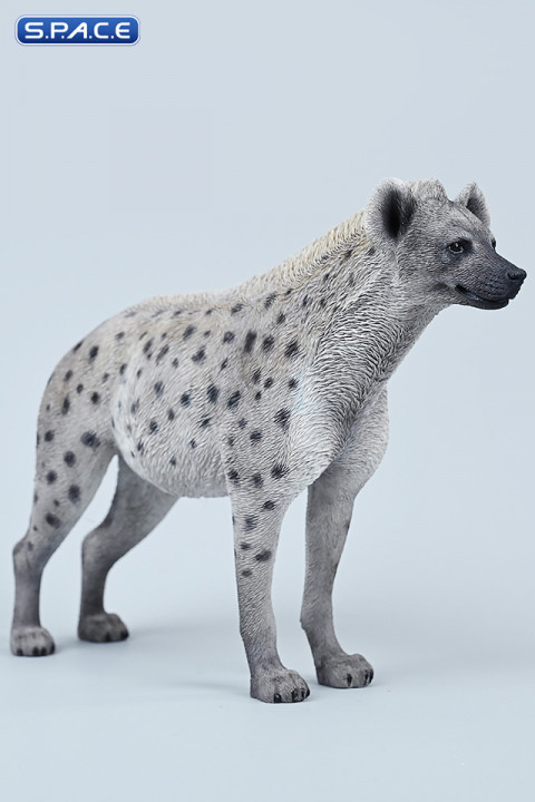 1/6 Scale Hyena Version A1