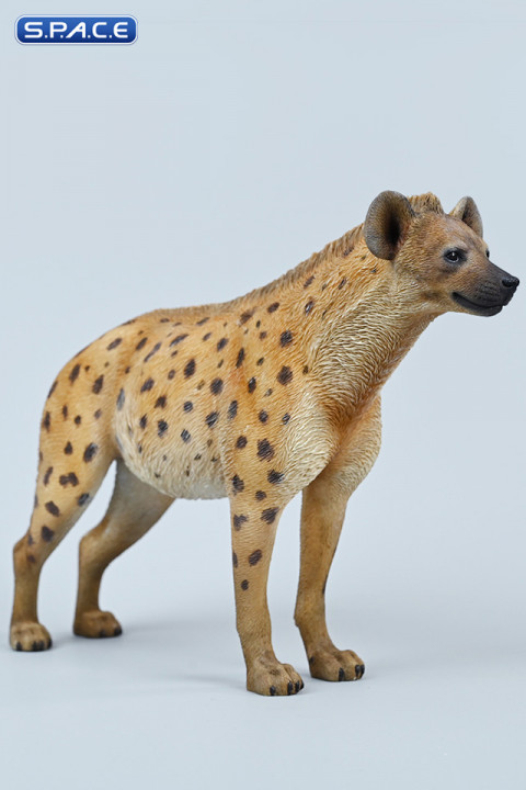 1/6 Scale Hyena Version A2