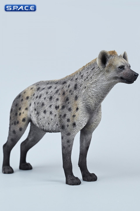 1/6 Scale Hyena Version A3