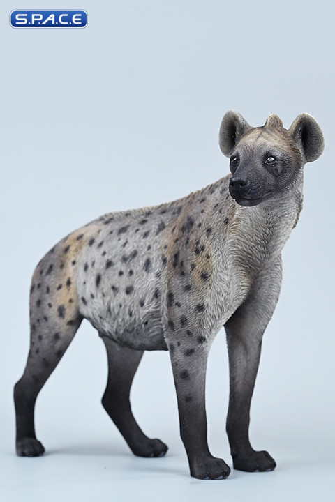 1/6 Scale Hyena Version B1