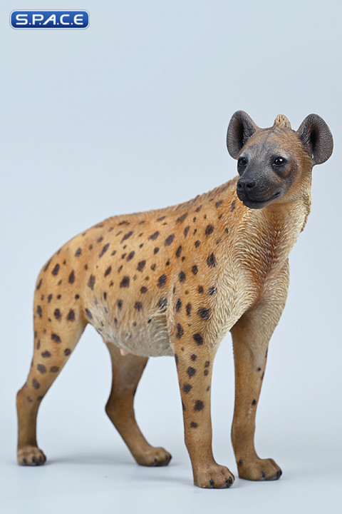 1/6 Scale Hyena Version B2