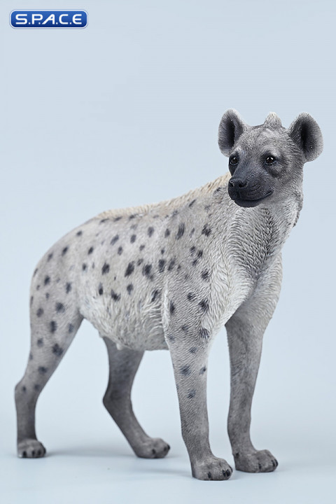 1/6 Scale Hyena Version B3