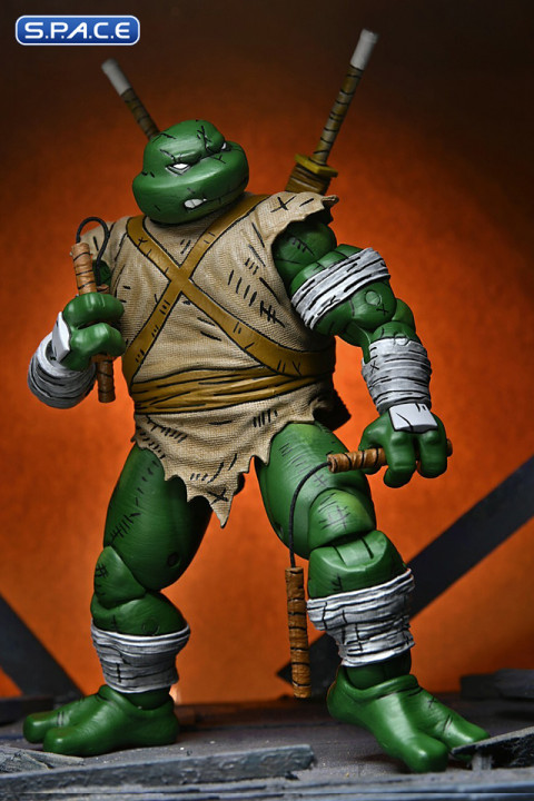 Michelangelo The Wanderer (Teenage Mutant Ninja Turtles)