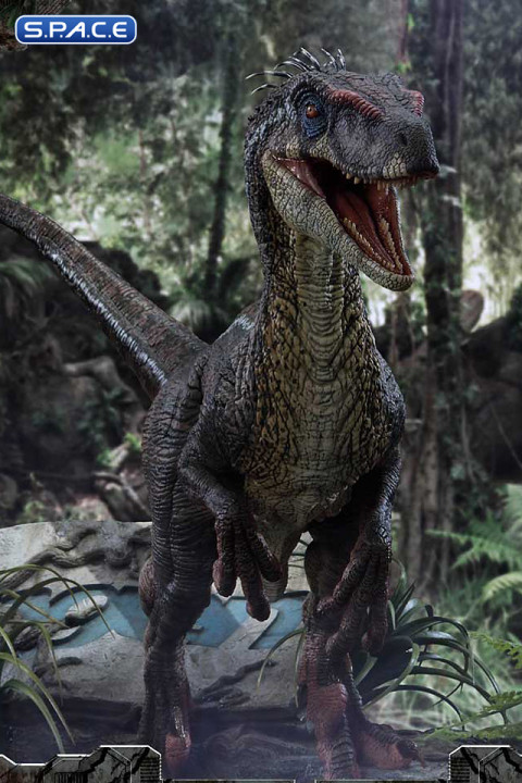 1/6 Scale Male Velociraptor Legacy Museum Collection Statue (Jurassic Park III)