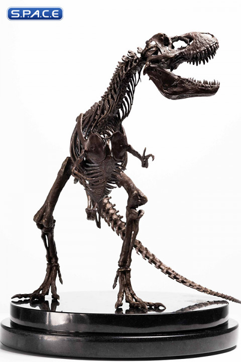 1/24 Scale Rotunda T-Rex Skeleton Bronze Statue (Jurassic Park)