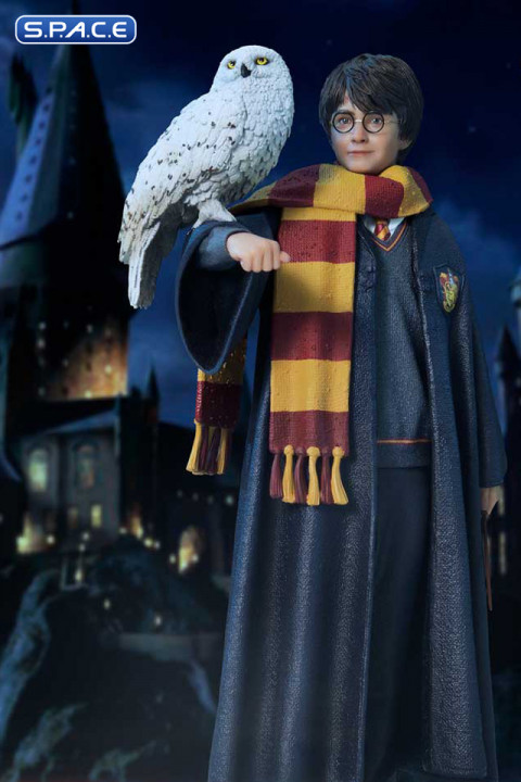 1/6 Scale Harry Potter with Hedwig Prime Collectible Figures Statue (Harry Potter)