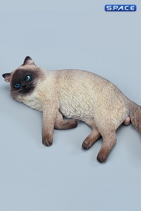 1/6 Scale lying Ragdoll Version B