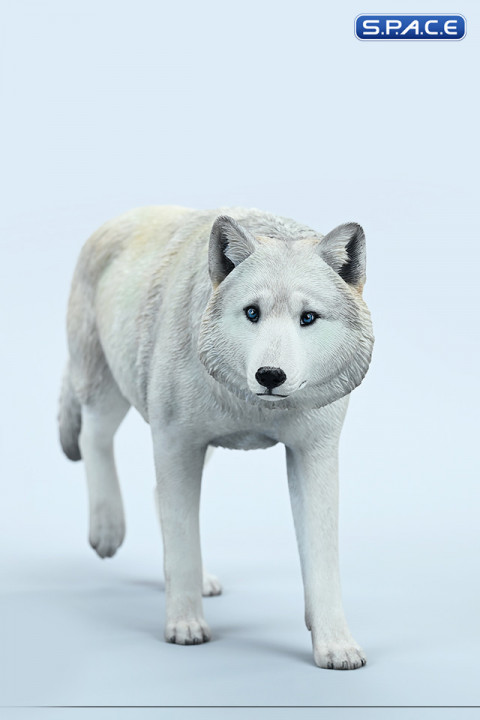 1/6 Scale Gray Wolf Version A3