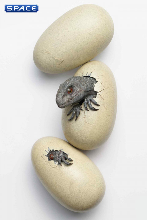 1/2 Scale Hatching Indominus Rex Set (Jurassic World)