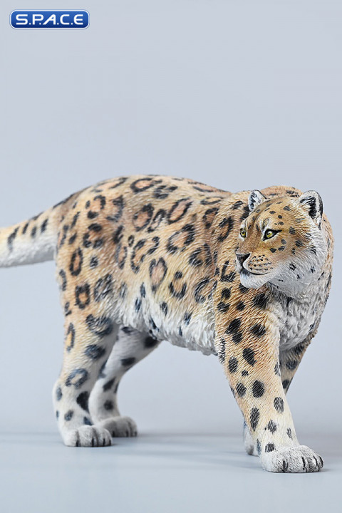 1/6 Scale Leopard