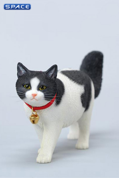1/6 Scale chinese Rural Cat Version A