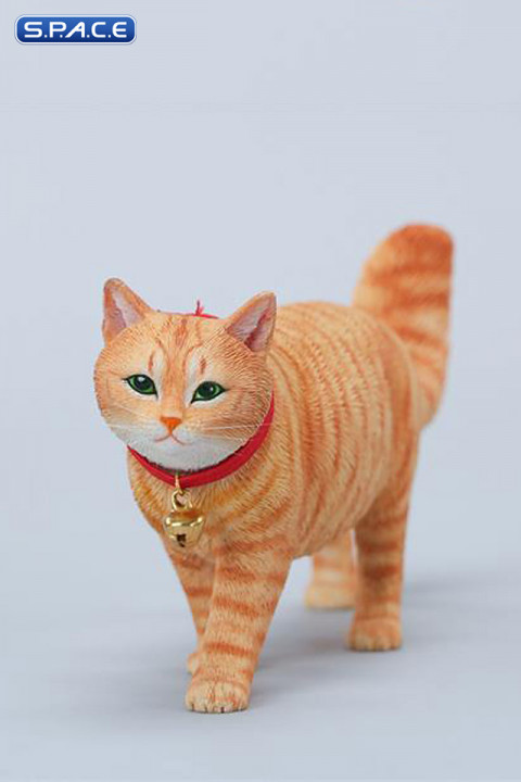 1/6 Scale chinese Rural Cat Version B