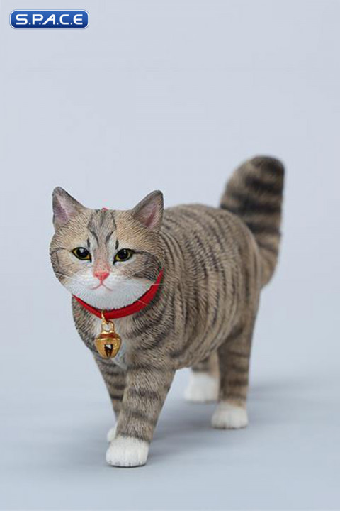 1/6 Scale chinese Rural Cat Version D