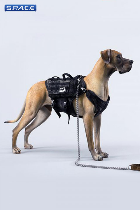 1/6 Scale Great Dane Version A