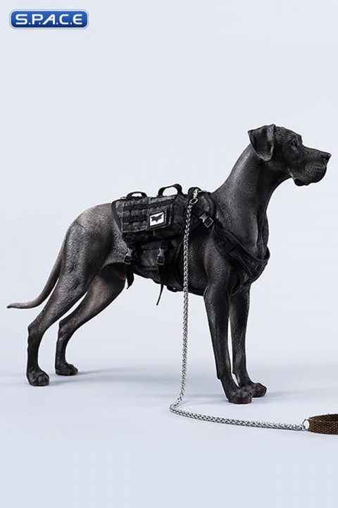 1/6 Scale Great Dane Version B