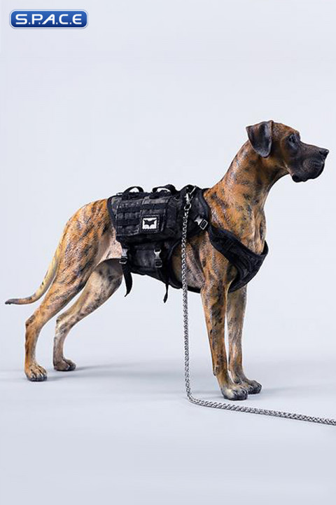 1/6 Scale Great Dane Version C