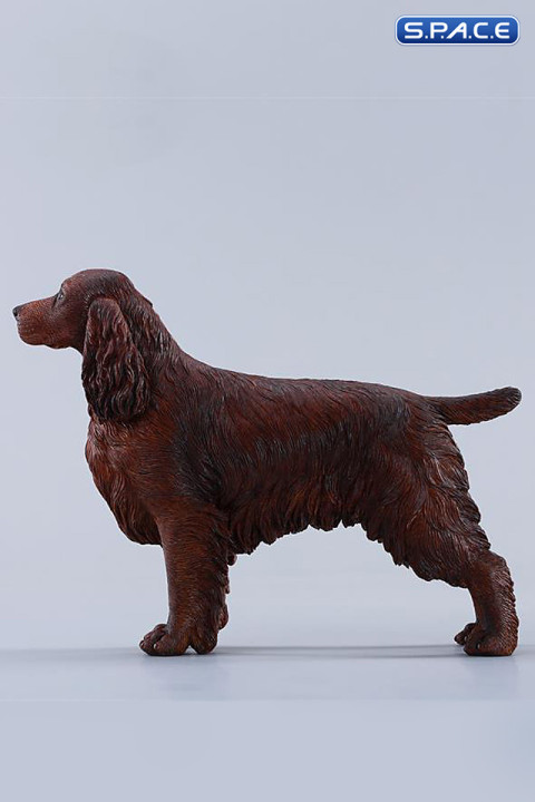 1/6 Scale Cocker Spaniel Version A