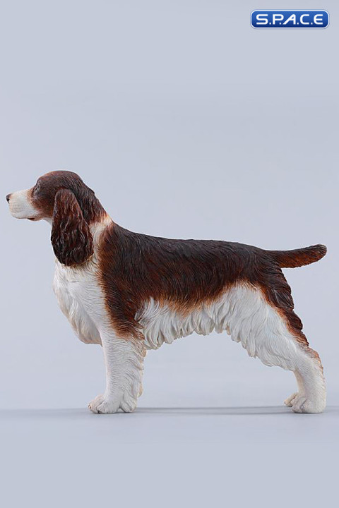 1/6 Scale Cocker Spaniel Version B