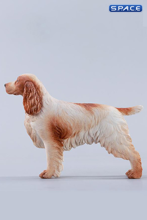 1/6 Scale Cocker Spaniel Version C